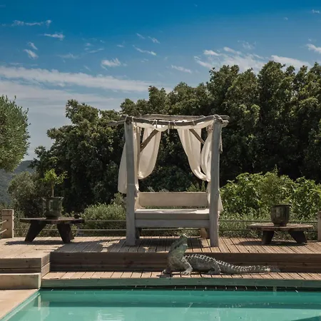 Luxury In Front Of The Famous Pont-du-gard. Castillon-du-Gard