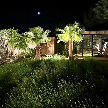 Luxury In Front Of The Famous Pont-du-gard. *