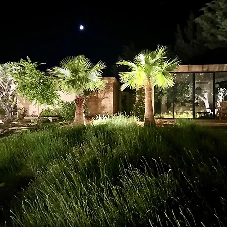 Luxury In Front Of The Famous Pont-du-gard. *
