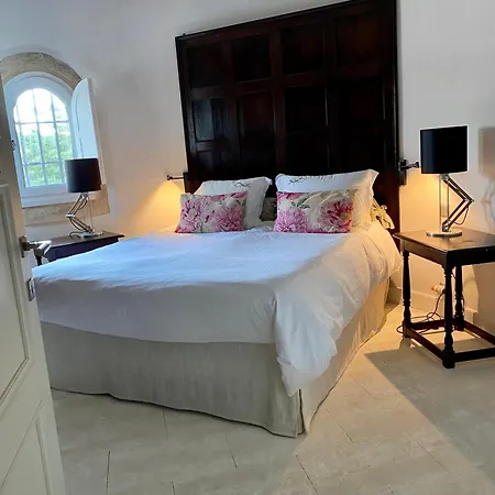 Vila Luxury In Front Of The Famous Pont-du-gard. Castillon-du-Gard