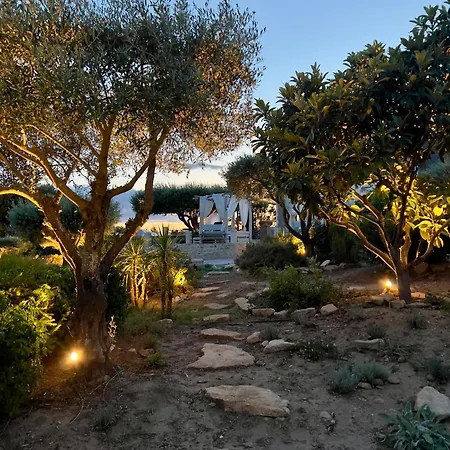 Luxury In Front Of The Famous Pont-du-gard.