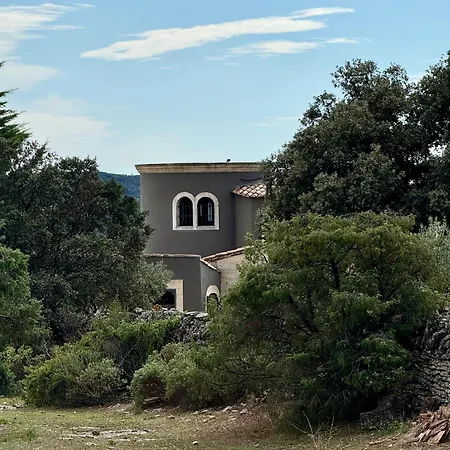 Villa Luxury In Front Of The Famous Pont-du-gard. *