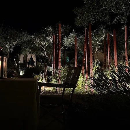 Vila Luxury In Front Of The Famous Pont-du-gard.