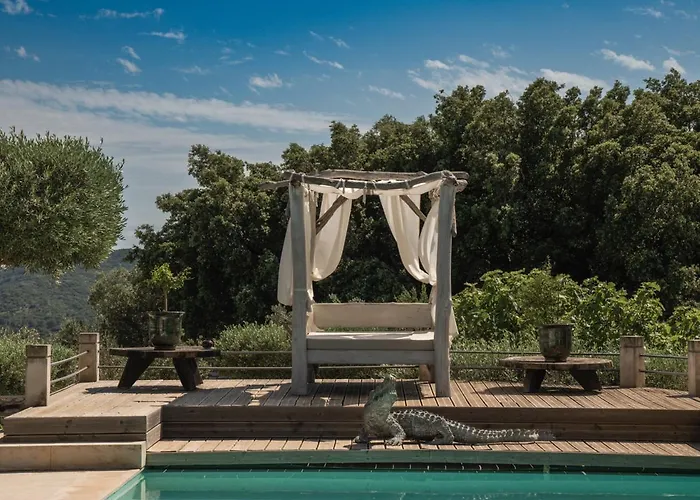 Luxury In Front Of The Famous Pont-du-gard. Кастийон-дю-Гар