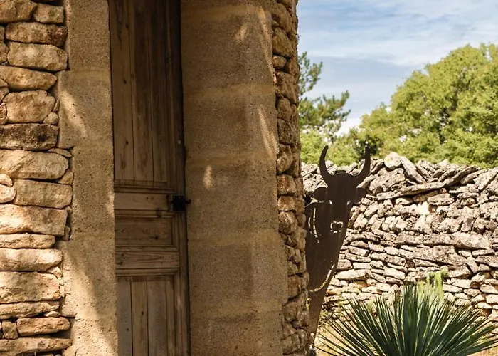 Luxury In Front Of The Famous Pont-du-gard.